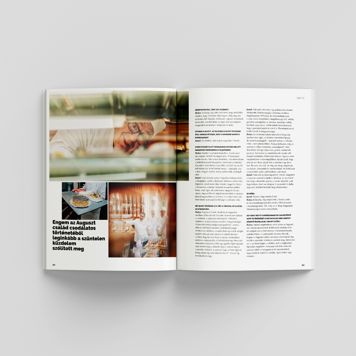 Magyar Krónika 116. szám - Image 7