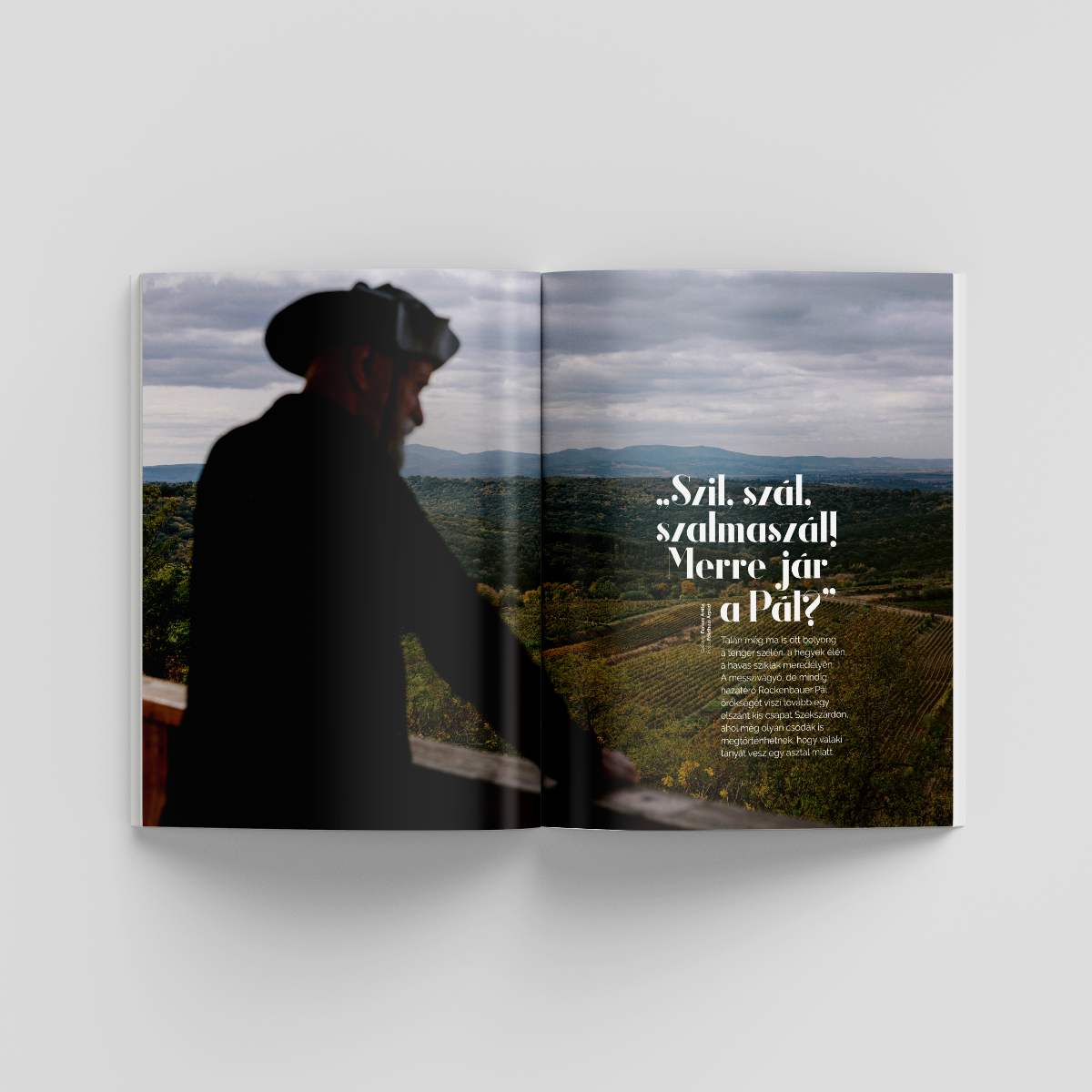 Magyar Krónika 116. szám - Image 4