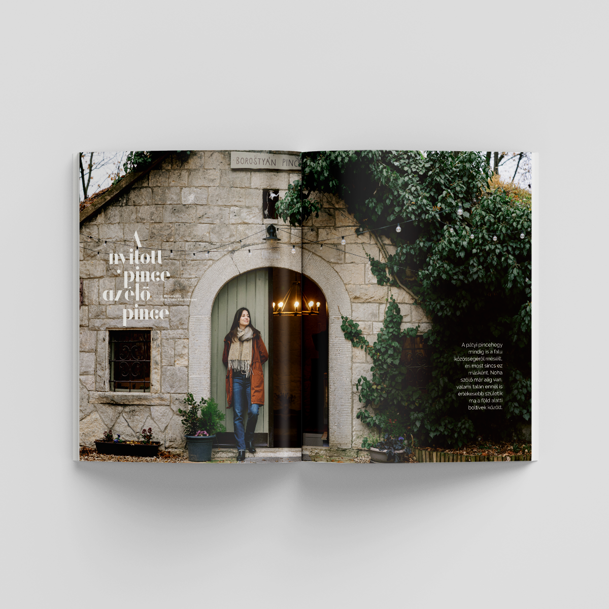 Magyar Krónika 116. szám - Image 5